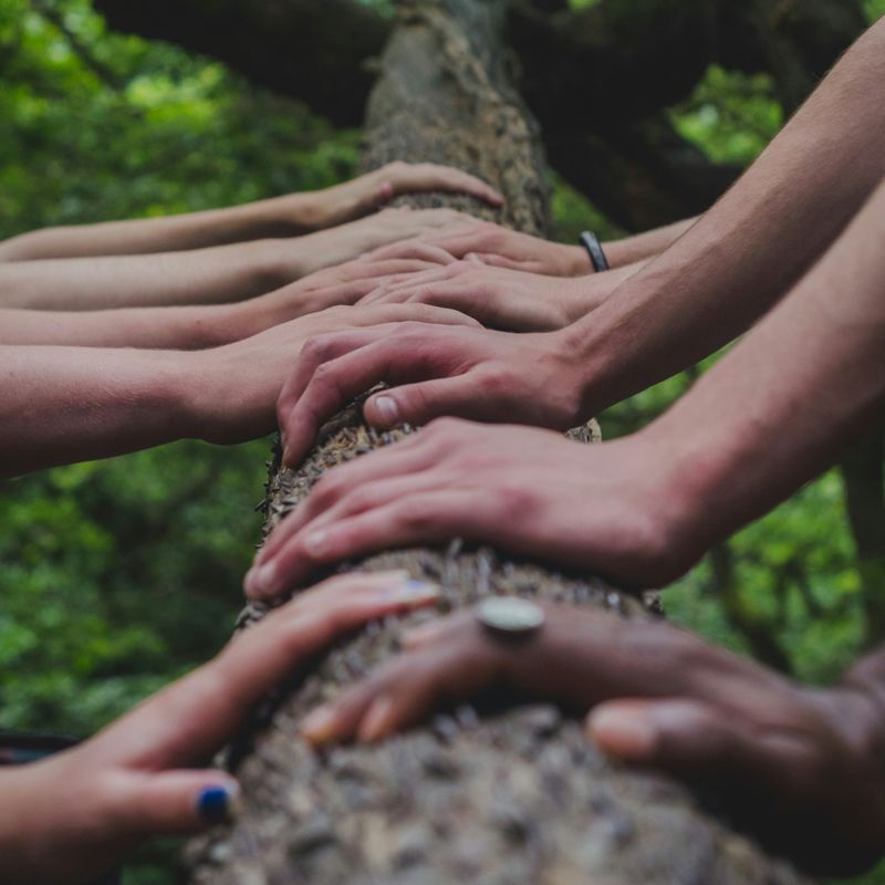People laying hands on a large tree branch
