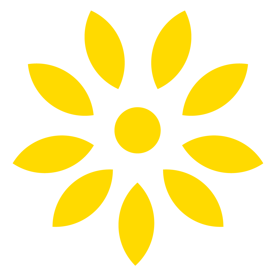 Tackling Climate Disinformation Workshop