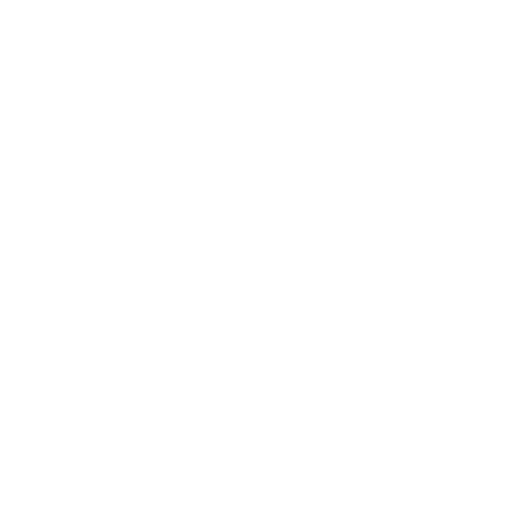 Icon of lightning in white