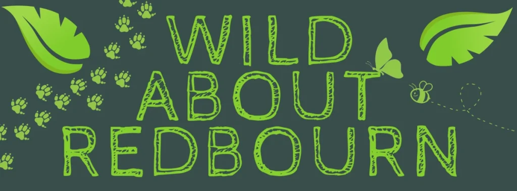 Wild About Redbourn Logo