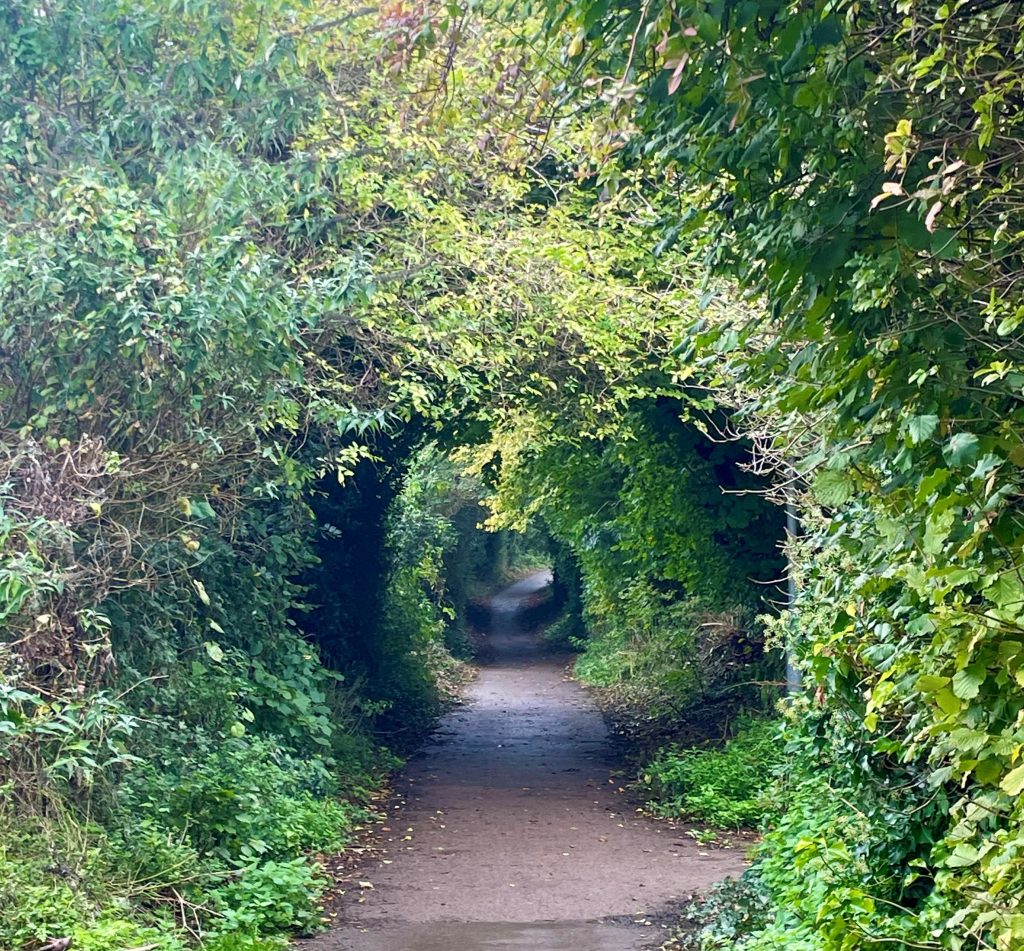 Photo of section of path on Jersey Lane