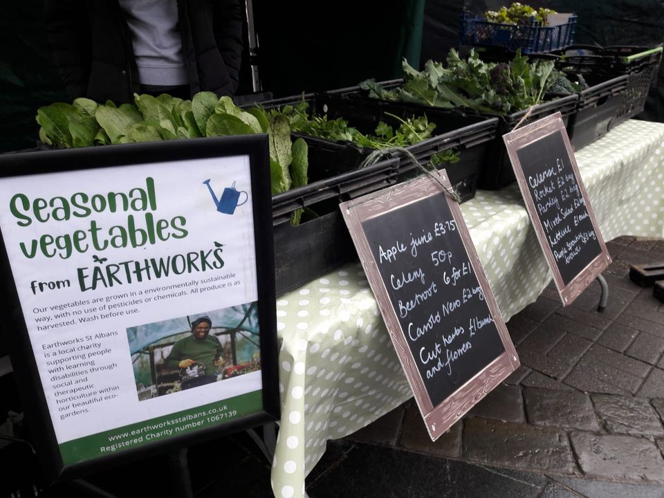 Photo of Earthworks display at Farmers market