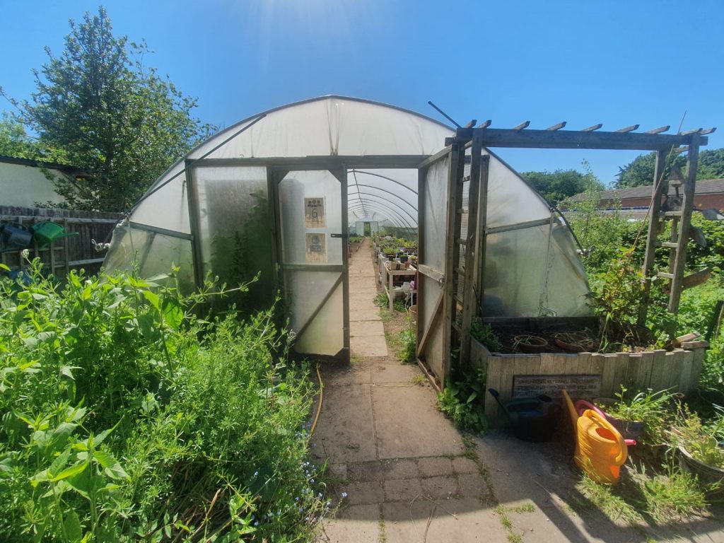 Earthworks Polytunnel