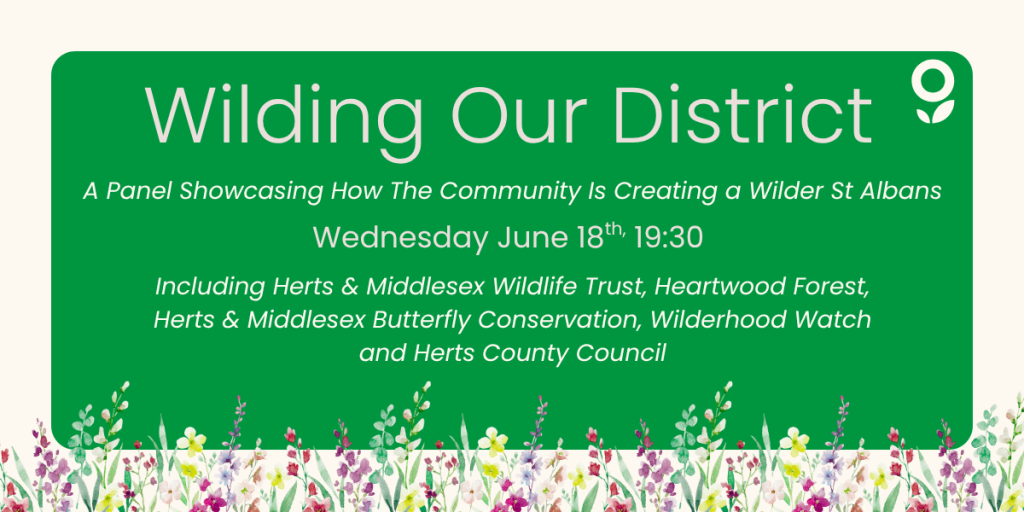 Wilding In Our District Panel
