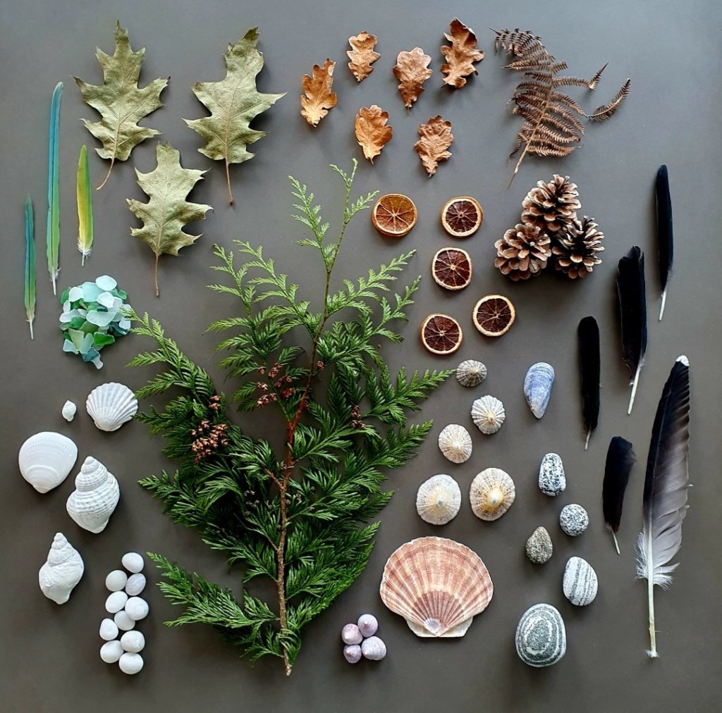 Nature Writing Workshop: From Local To Global