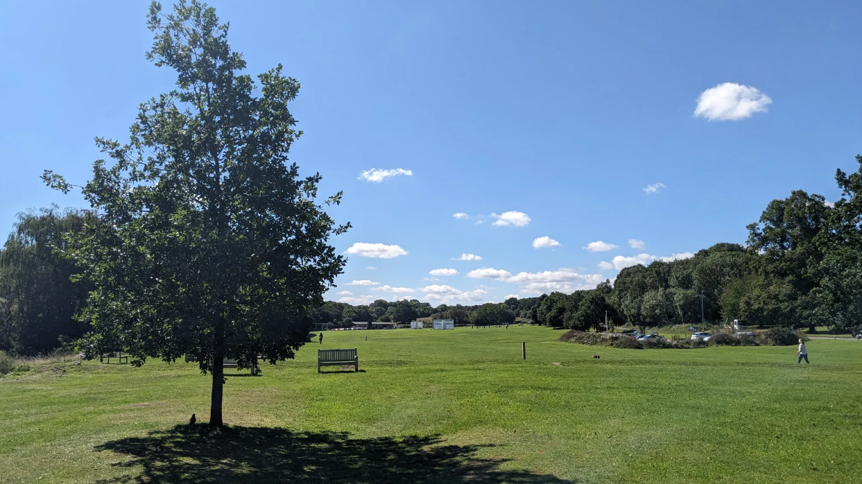 Our Planet Our Future: Guided Walk – Get to know Harpenden Common