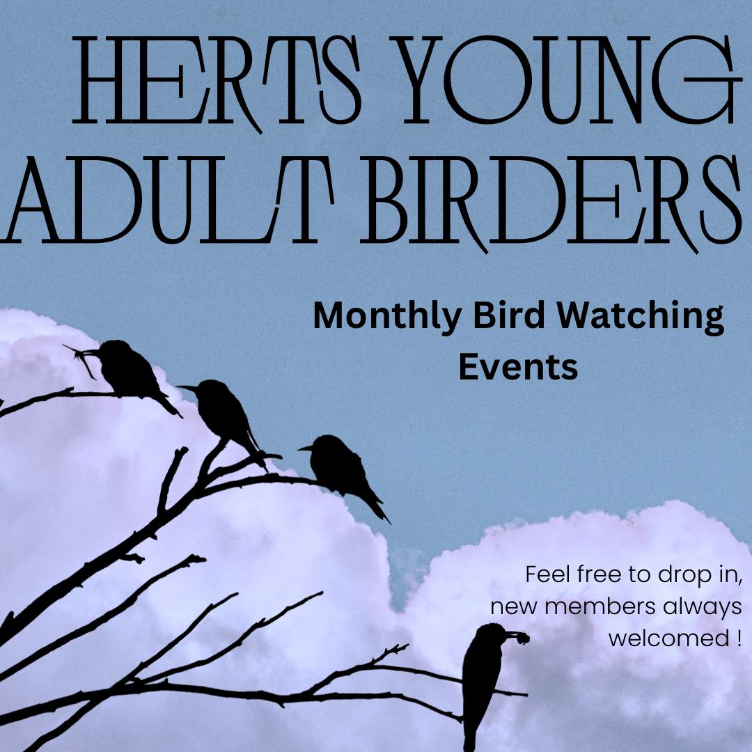 Herts Young Adult Birders