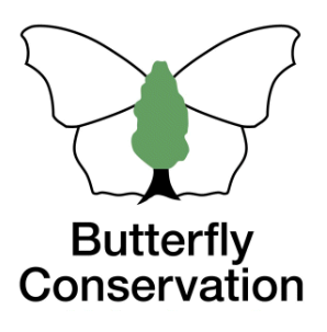 Guided Butterfly Walk - Bricket Wood