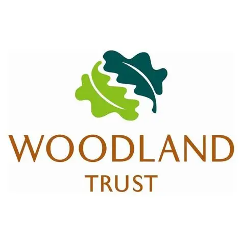 Guided Butterfly Walk - Heartwood Forest